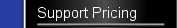 Support Pricing